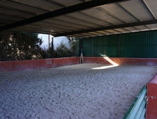 Pista para aprender a montar